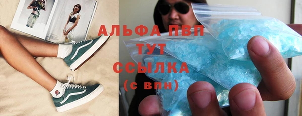 прущие грибы Киренск
