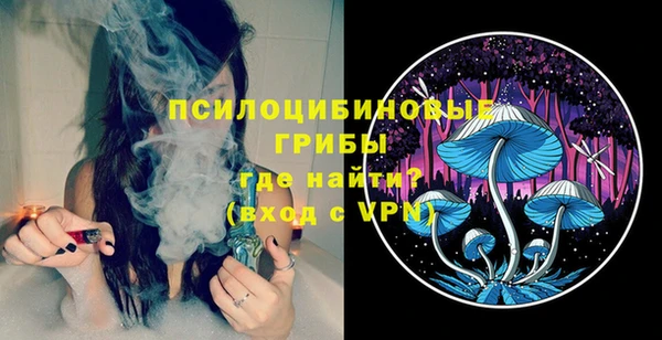 твердый Киреевск